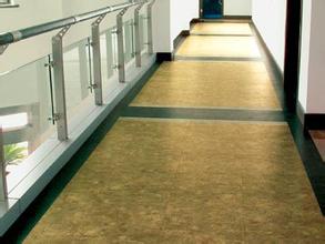 塑膠地板003-哈爾濱晟陽建筑裝飾(網(wǎng)站出售)